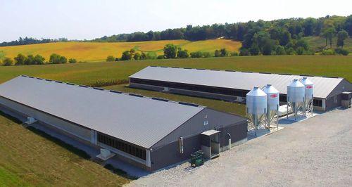 В Туве появится современная ферма