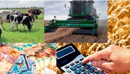 Нацпроект «Малое и среднее предпринимательство» способствует развитию в Туве сельхозкооперации