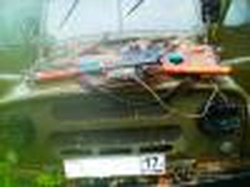 Закон тайги?