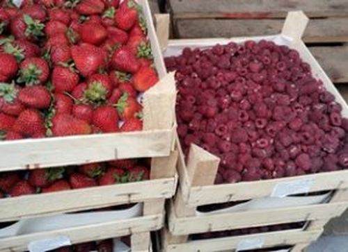 Россельхознадзор проконтролировал партию свежих ягод из Киргизии