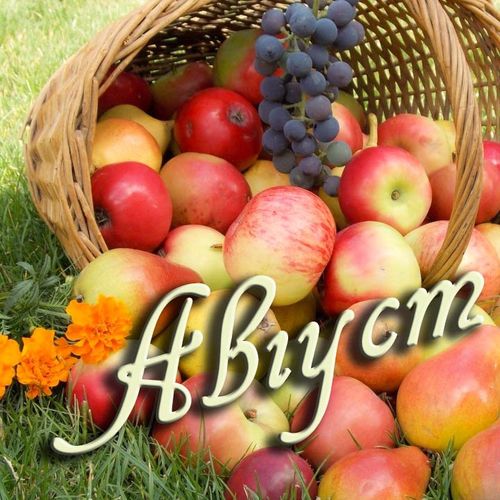 Элбек, тодуг ай…