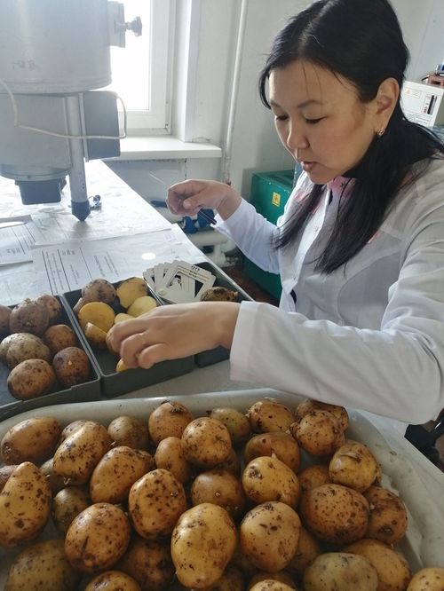 На страже полей республики