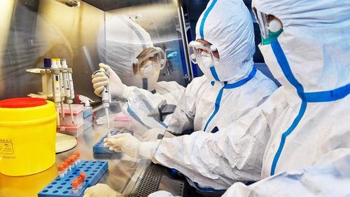 COVID-19: В Туве суточный прирост заболевших идет на снижение