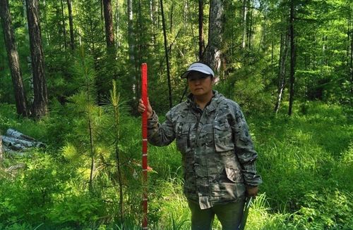 Арга-арыгны катап тургузар шинчилелдер