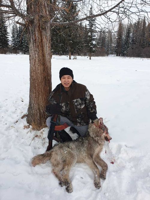 Облава на волков