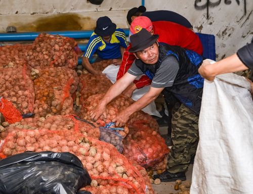 Картофельди арбыдадыр тарыыр сорулга салдынган