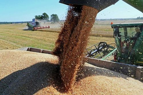 КФХ Тувы – лидеры по сбору урожая зерна