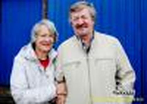 Аист на крыше