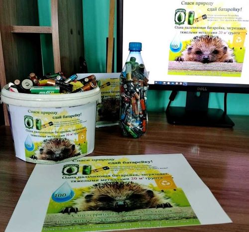 Утилизированные батарейки спасли более 500 ёжиков