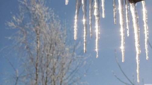 Какая погода ожидается в Туве в феврале 2021 года?