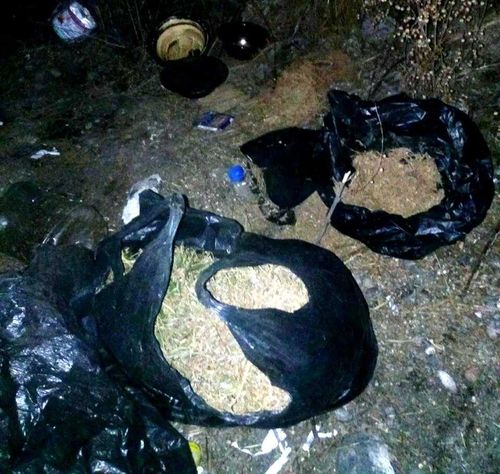 Костер из марихуаны привел к уголовному делу