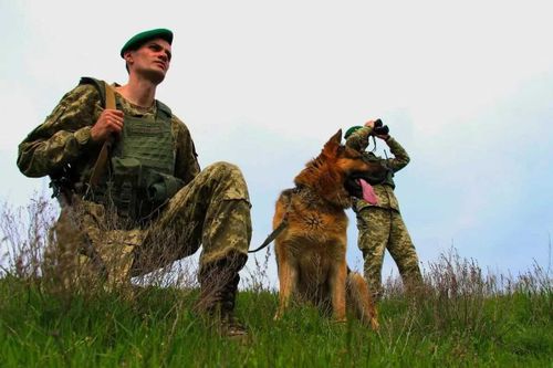 В России отмечают День пограничника