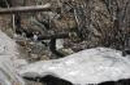 Ажыг-Суг признан наукой