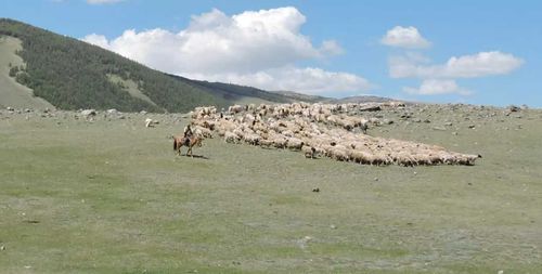 В Туве утвержден паспорт губернаторского проекта «Кыштаг»