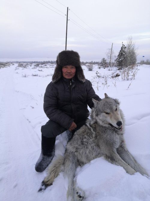 Командировка в предгорье Танды-Уула