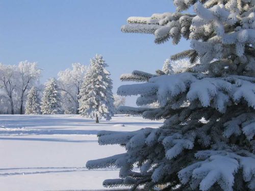 Прогноз погоды на январь 2021