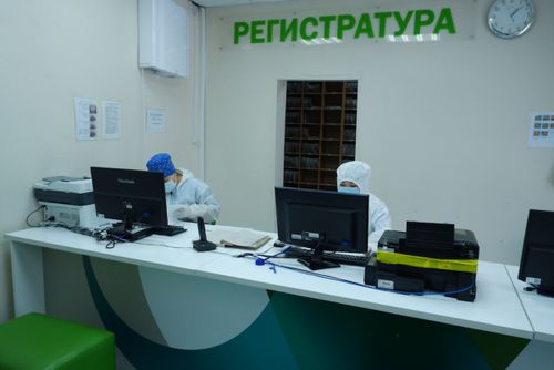 В Туве участники акции #МыВместе помогают врачам и учителям