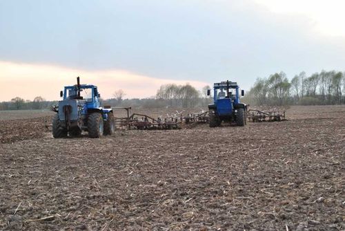 В Туве завершают весенне-полевые работы 
