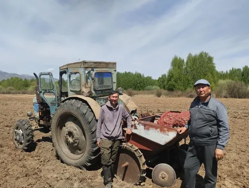 Участник проекта «Кладовая семьи» из Бай-Тайги завершил посадку картофеля