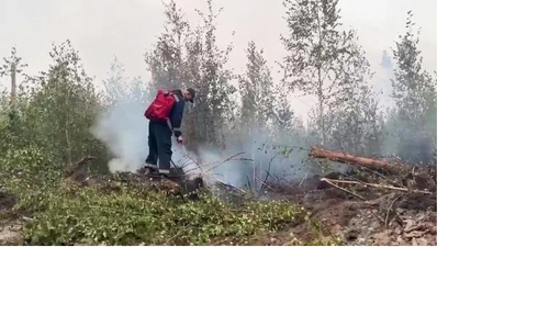 В Туве действует особый противопожарный режим