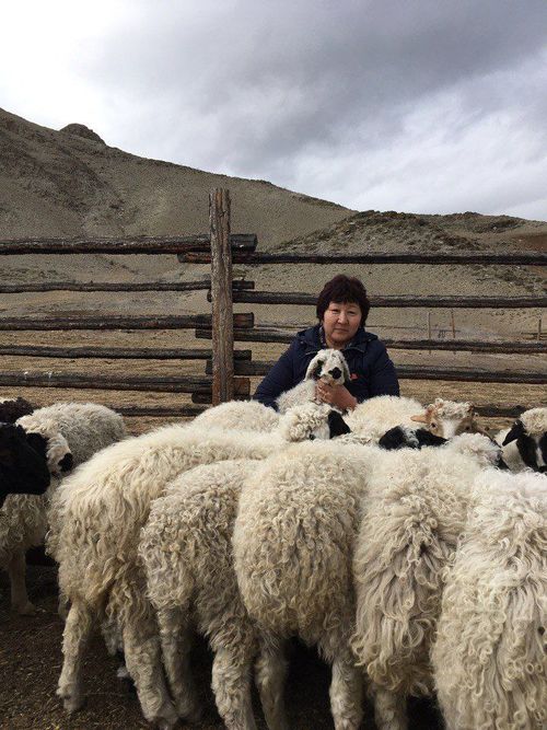 «Хараганның сарыг чечээ частып келди — чиңге-тарааң тары, уруум...»