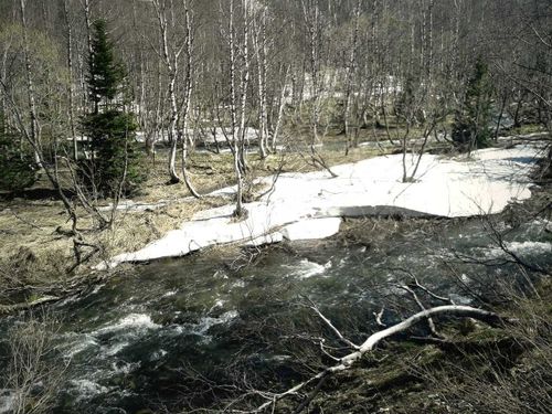 Быть или не быть? О паводке в Туве 