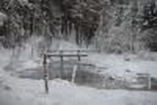 «Рождественские каникулы» в тайге