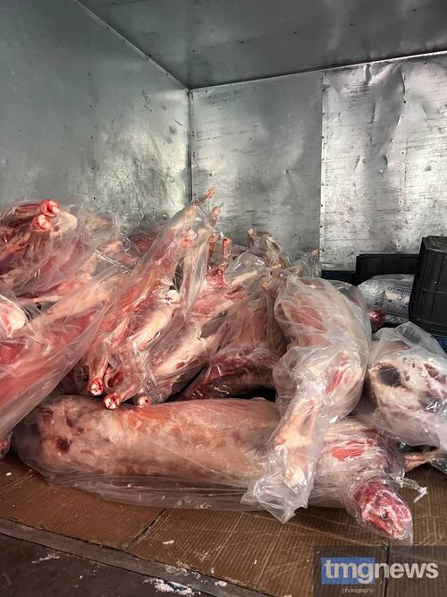 Животноводы Тувы отправят три тонны мяса в зону СВО в канун Нового года