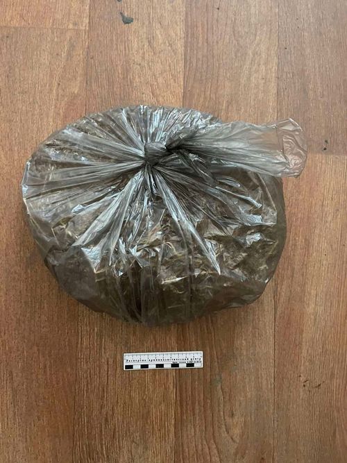 В Чадане полицейские обнаружили наркотики у ранее судимого местного жителя