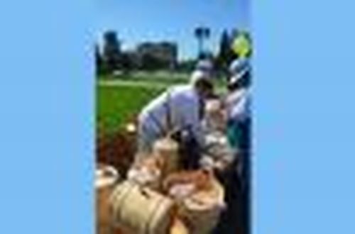 Русские подворья на тувинском празднике