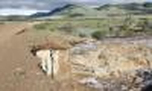 Ввести дороги в строй