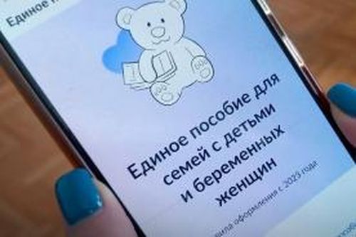 В Туве за назначением единого пособия могут обратиться более 60 тысяч семей