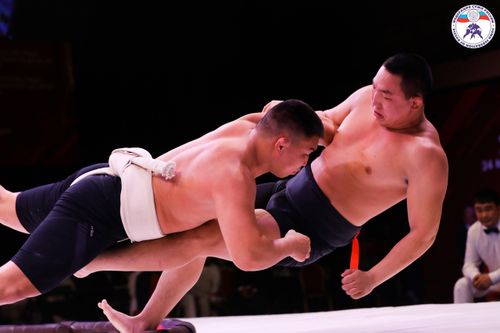 Суматорилерниң кайгамчыктыг тиилелгелери