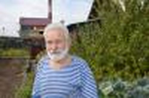 Время собирать… кочаны