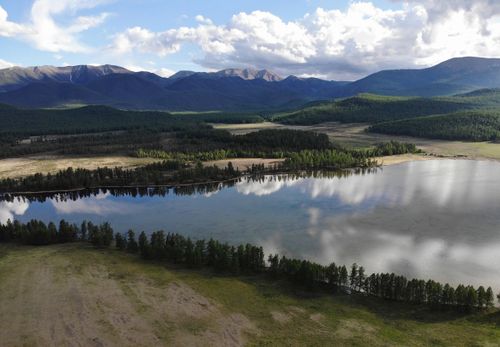 “Эко-объектив” чуруктар мөөрейиниң түңнелдерин үндүрген