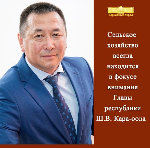 Байбек Монгуш: «Сельское хозяйство всегда находится в фокусе внимания Главы республики»