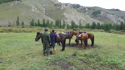 В Туве началась выдача охотничьих разрешений на все виды охоты