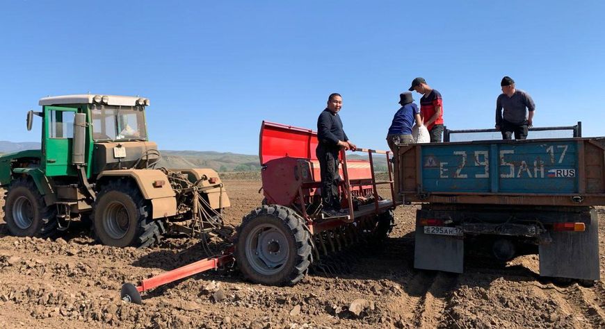 Студенты сельхозтехникума Тувы участвуют в весенне-полевых работах в Кызылском районе