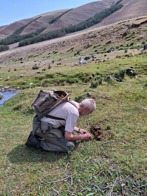 В Туве ищут арктических обитателей: экспедиция в Монгун-Тайгу