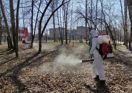 В Туве проходит противоклещевая обработка