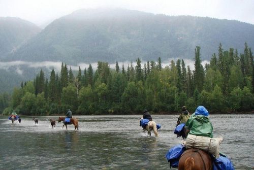Турисчи сезонга шыңгыы белеткел