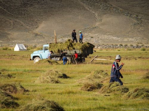 Шалыпчы ай үезинде