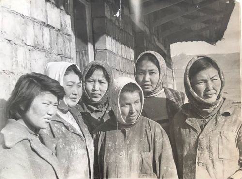 Кургаг ховуга туткан кудумчу