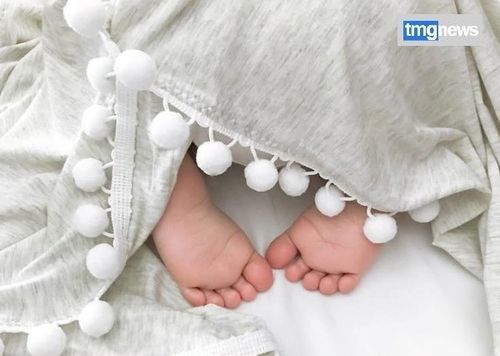 Тывада 2025 чылда төрүттүнген дун уругларга деткимчениң чаа хемчээн көргүзер