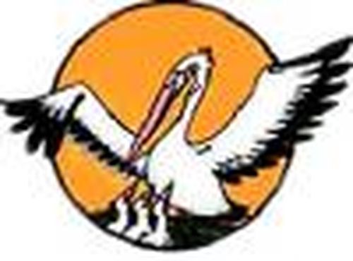 Чей урок лучший?