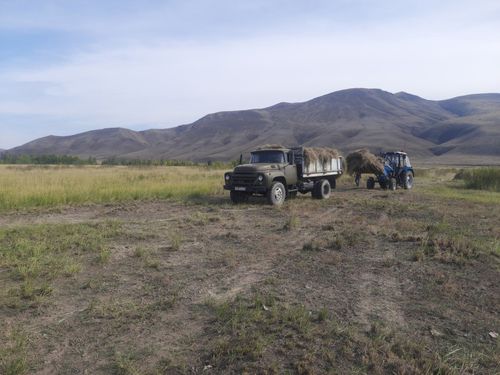 Кызылский район заготовил более 15 тысяч тонн кормов в рамках кормозаготовительной кампании