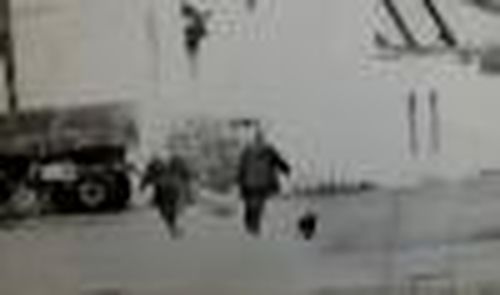 Не только охраняли...