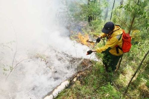 В Туве действуют 3 пожара