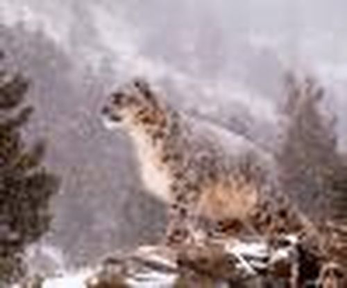 Человек и природа