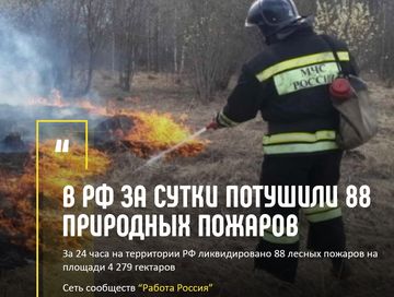 В РФ за сутки потушили 88 природных пожаров